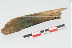 Foto von Menschenknochen (NHMW-PRAE-002250a)
